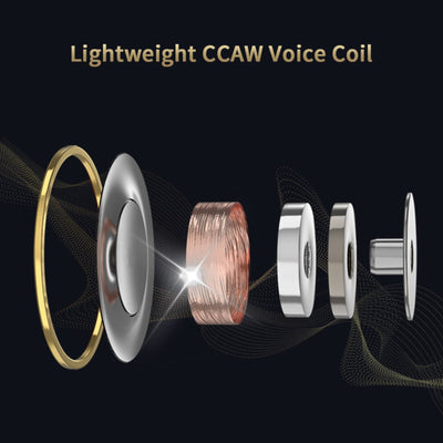 Premium Headset Kopfhörer QKZ-AKX Pro HiFi In-Ear-Headset Ohrhörer + Hardcase